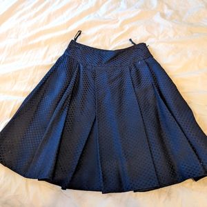 Ted Baker Skirt - Size 0 - NWT
